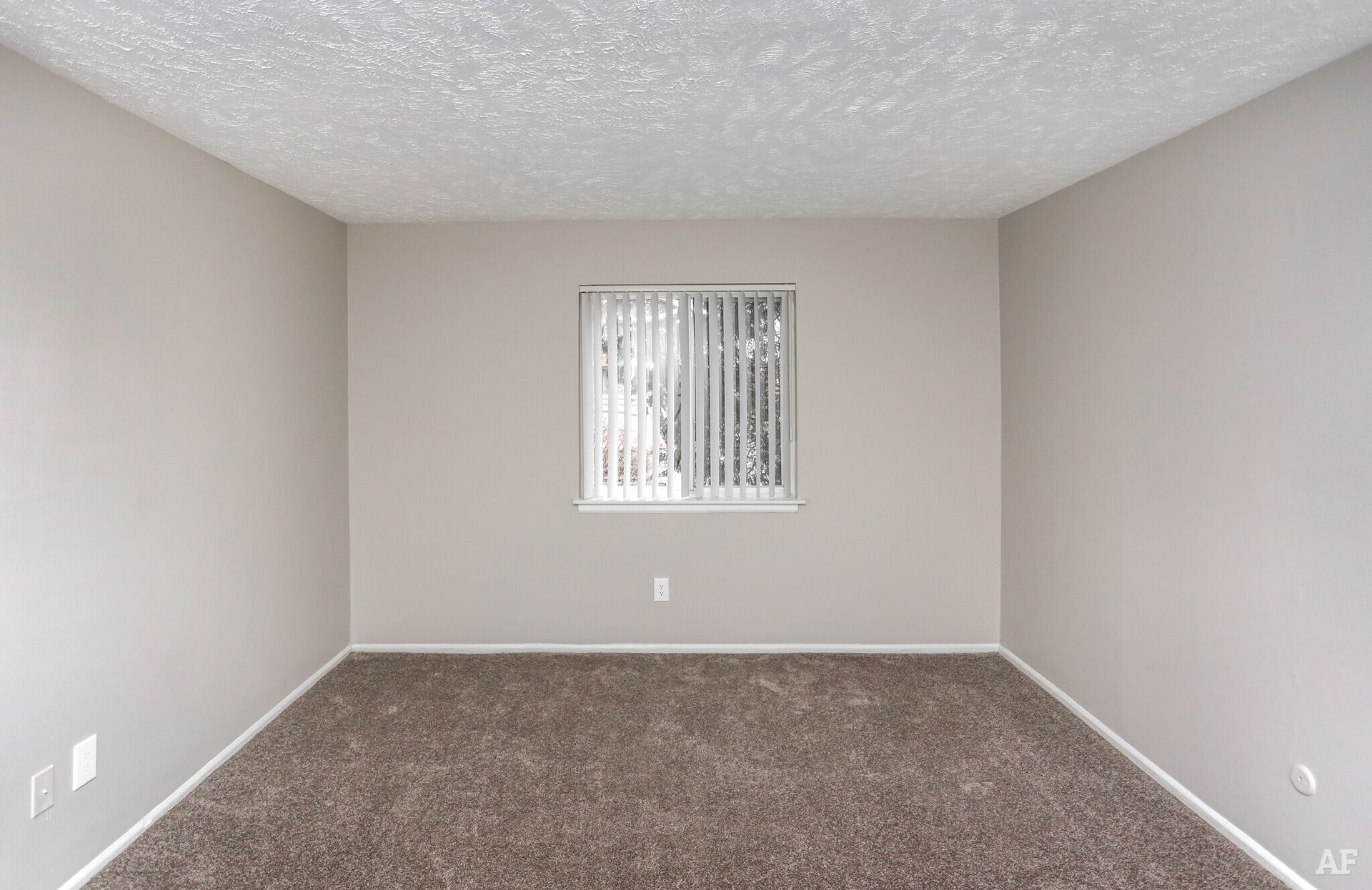 Empty room with gray walls, brown carpet, window with blinds, and white textured ceiling.