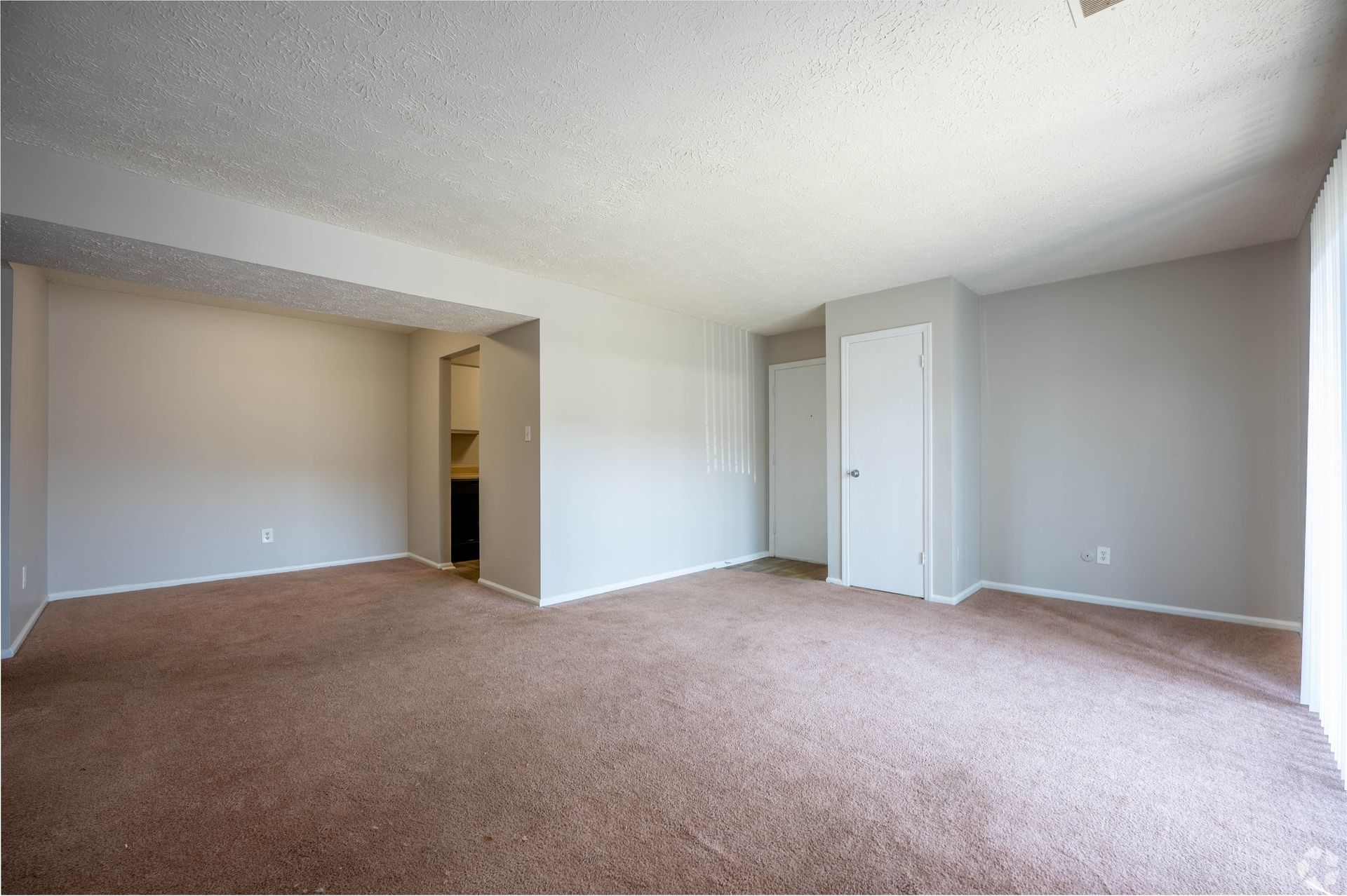 Empty room with brown carpet, grey walls, white ceiling and a closet.