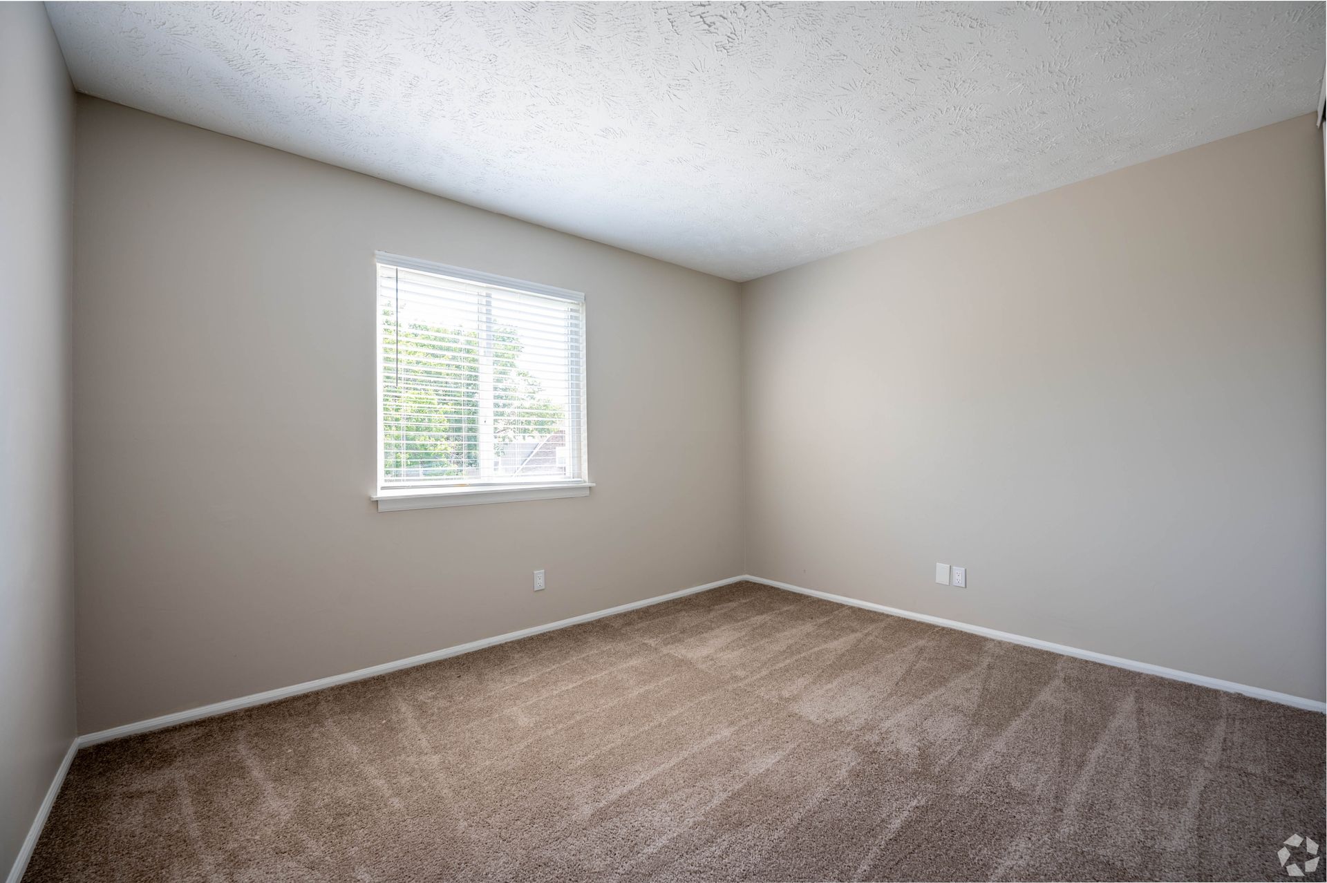 Empty bedroom with tan carpet, beige walls, and window with blinds.
