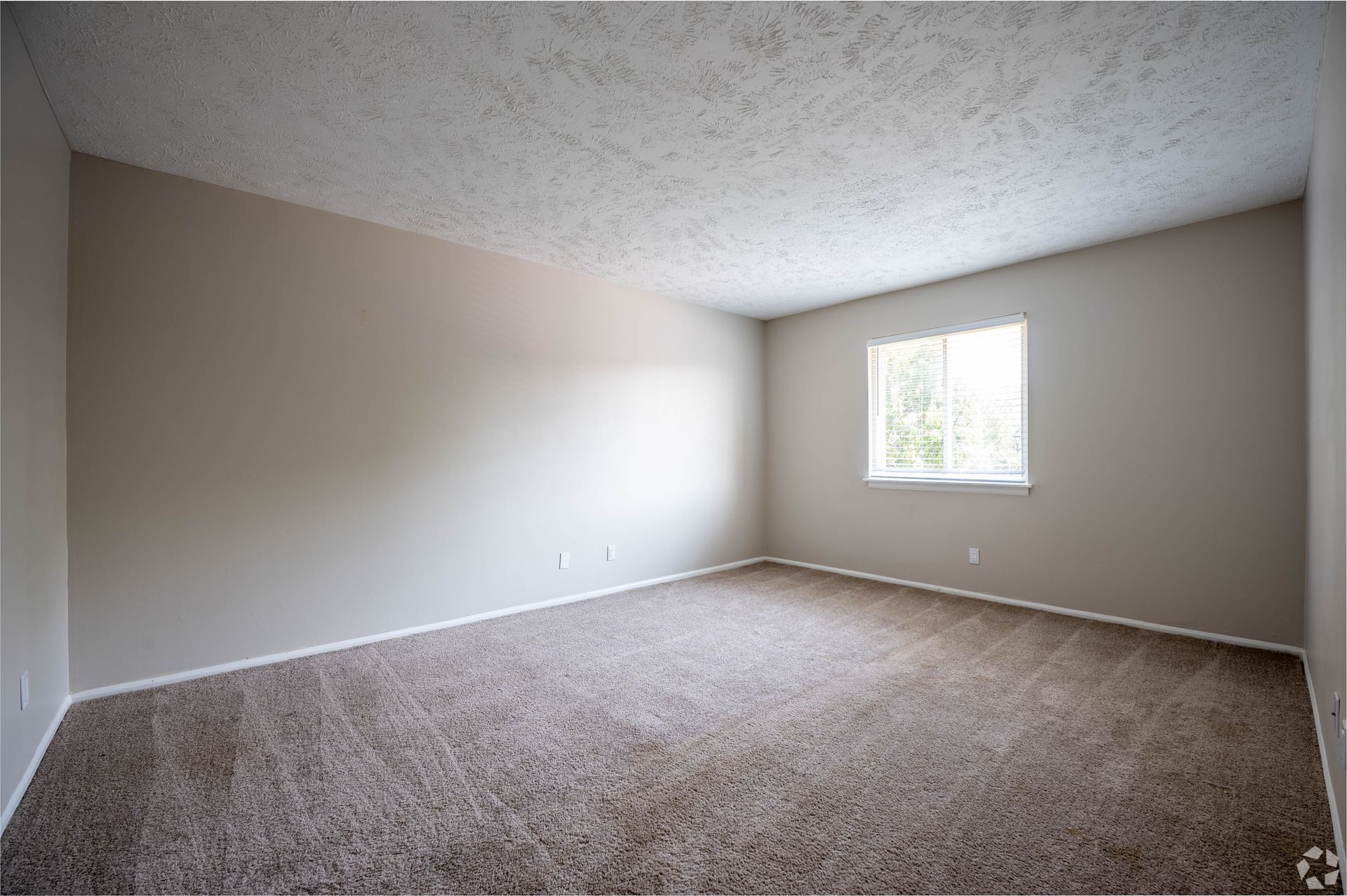 Empty room with beige walls and carpet, small window, and textured ceiling.