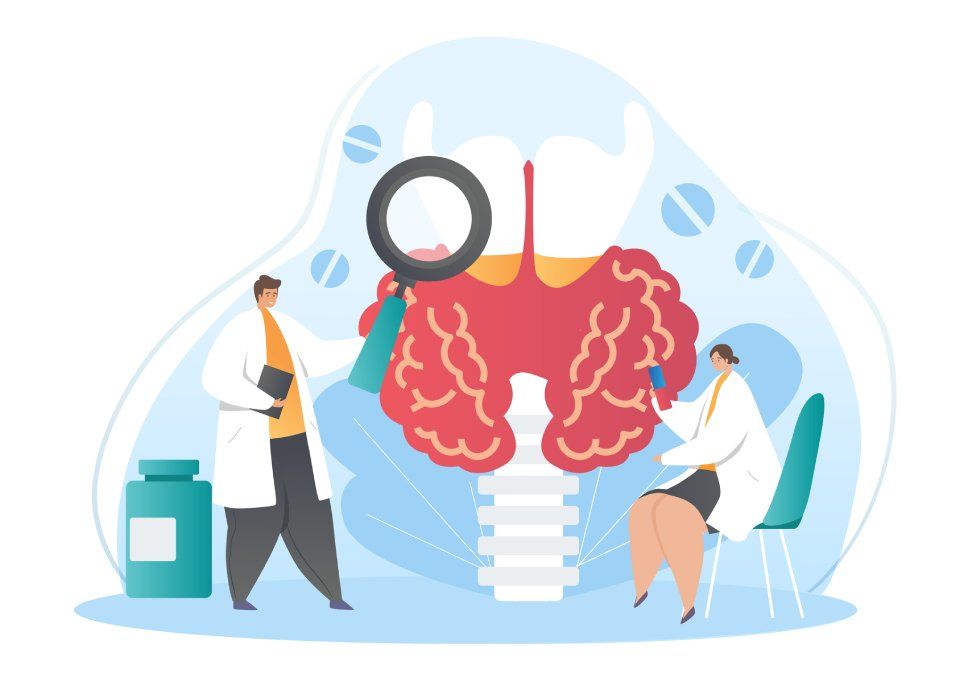 sistema endocrino