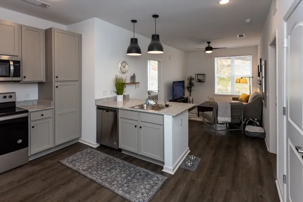 Modern kitchen and living area in an apartment