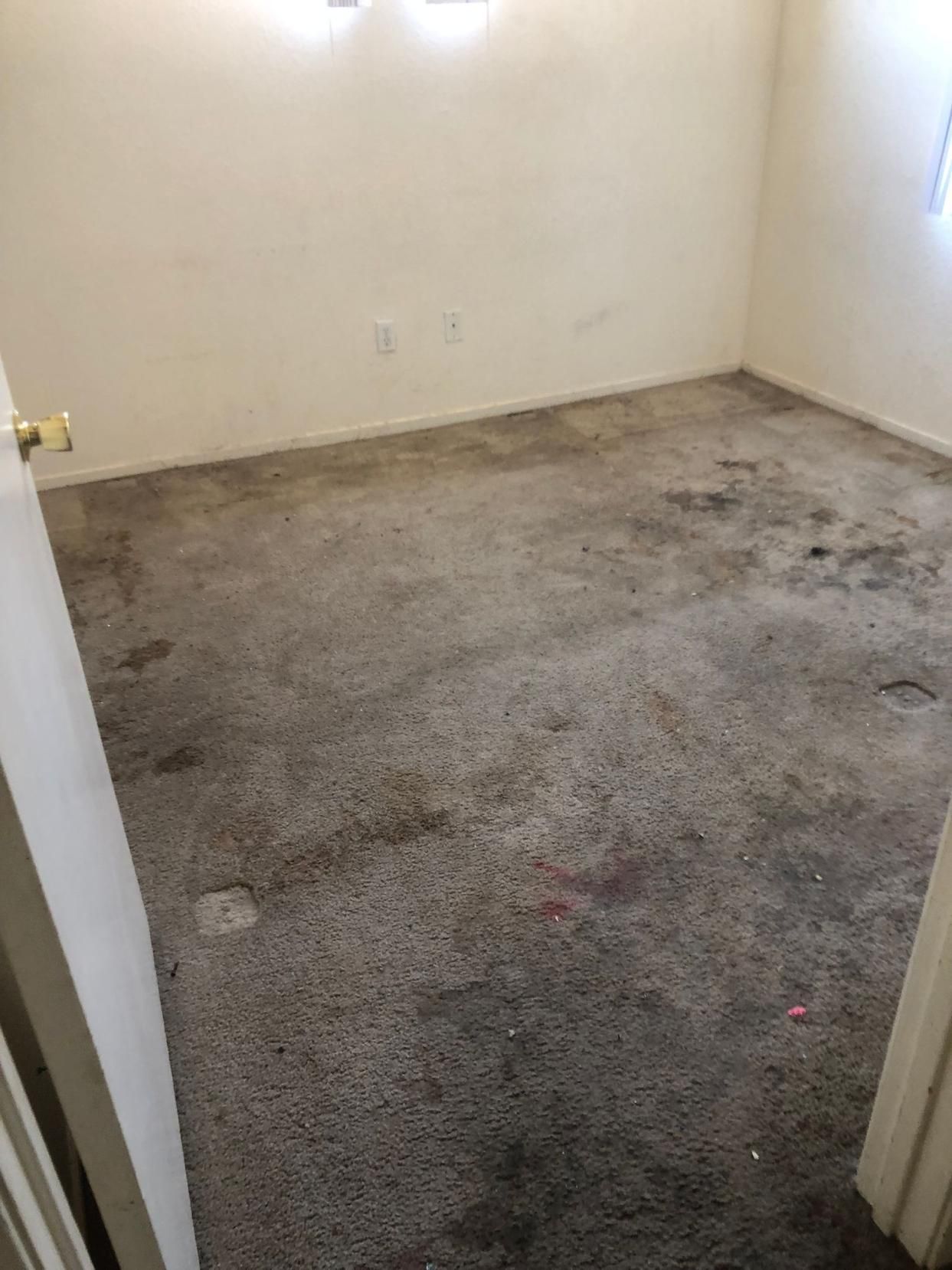 Empty carpeted room with bare white walls and a doorway visible on the left.