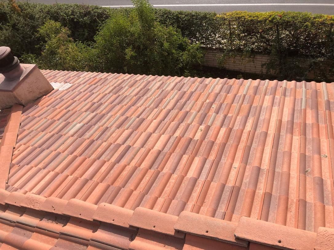 Terracotta roof tiles with trees and greenery in the background