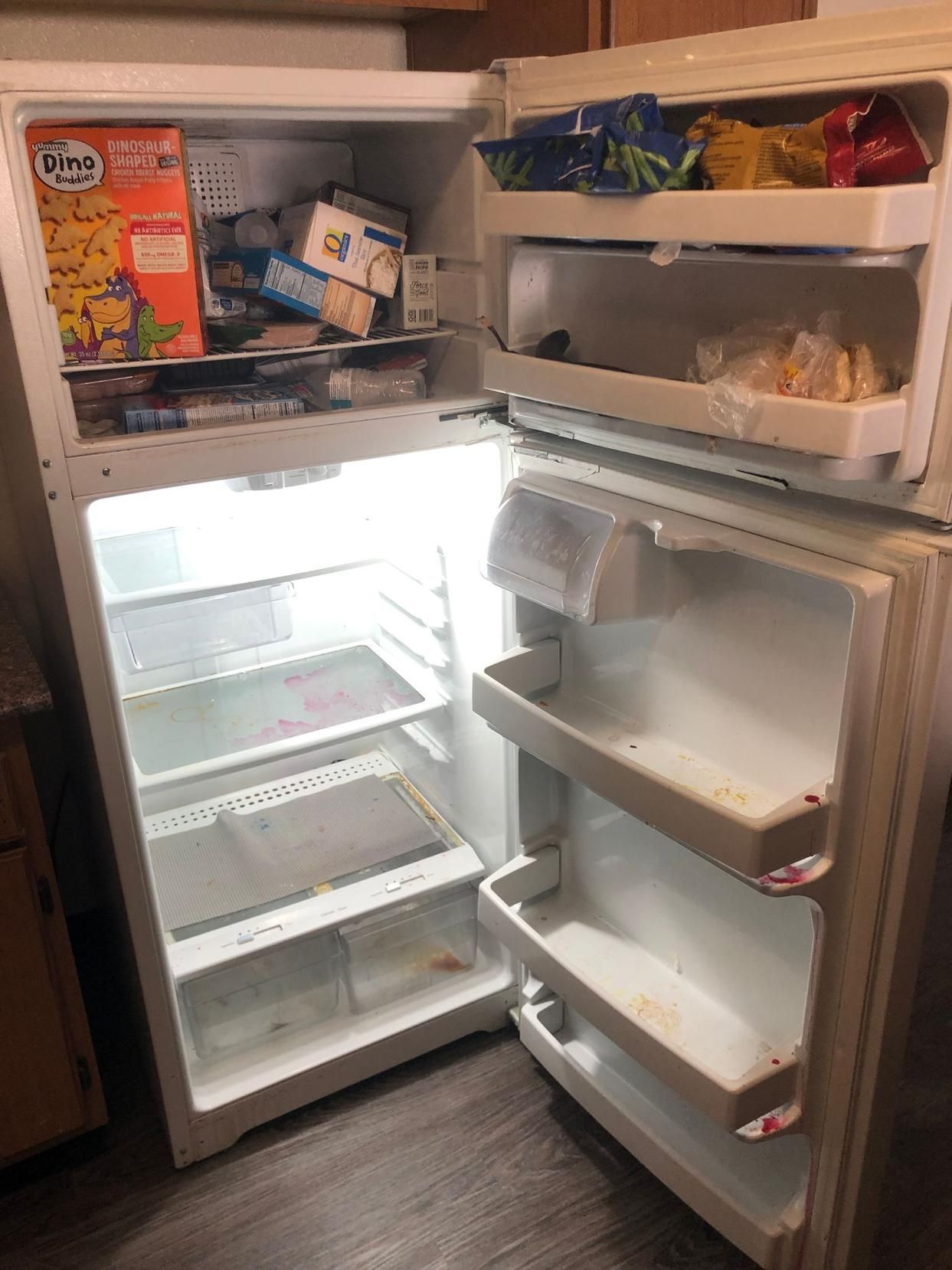 Open refrigerator and freezer with shelves and food containers inside, kitchen setting