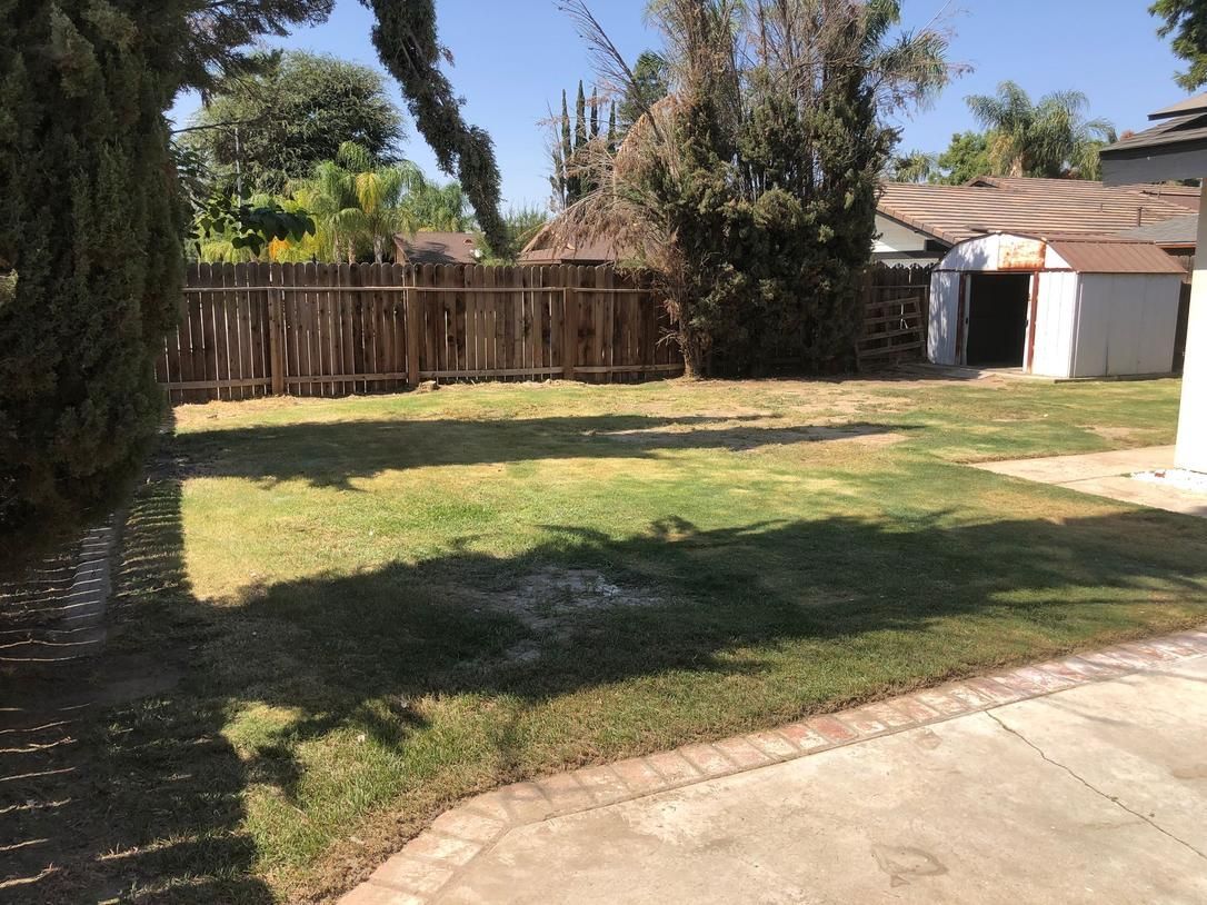 Backyard with a grassy lawn, wooden fence, palm trees, and a driveway beside a small shed