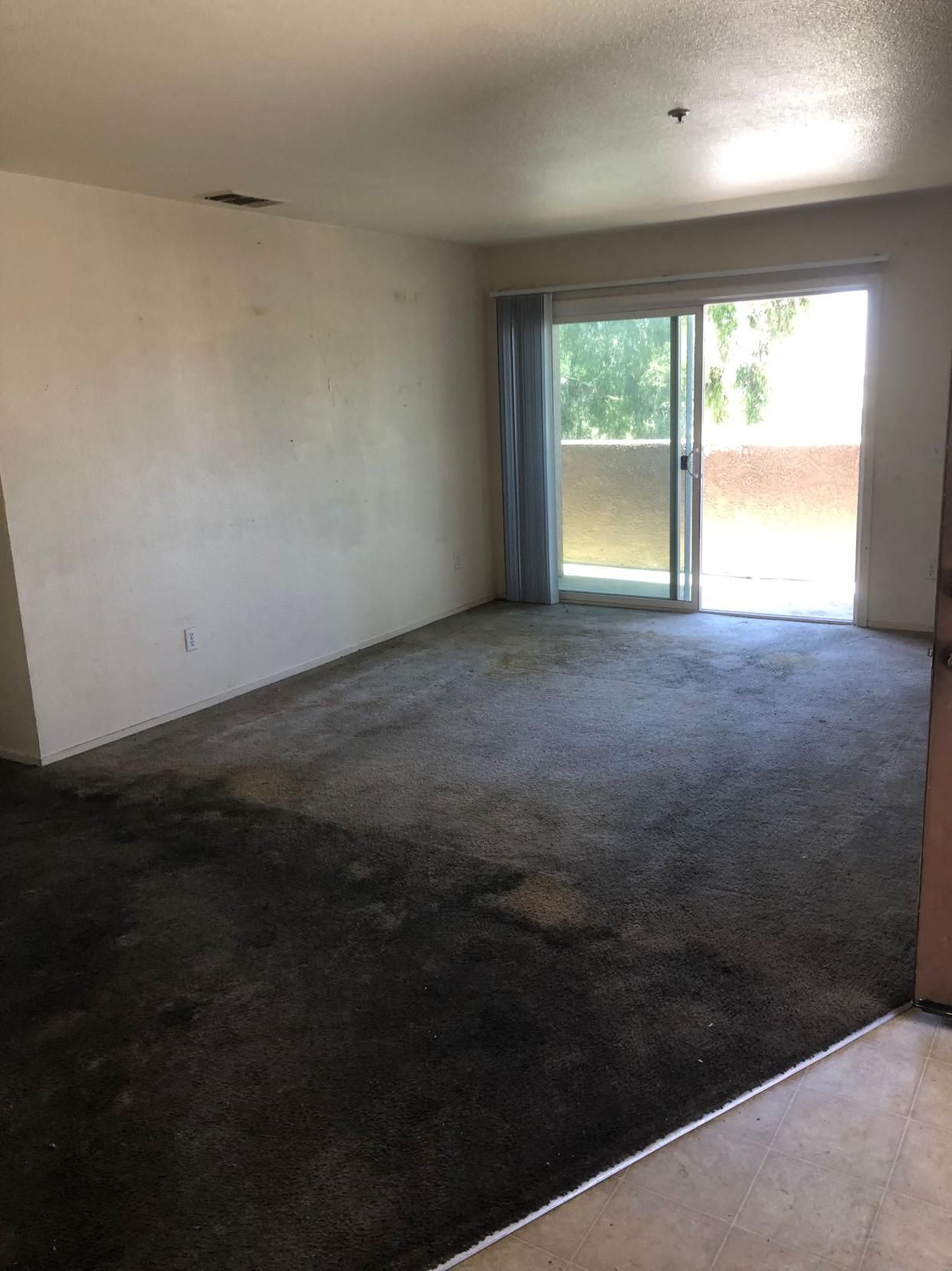 Empty carpeted living room with sliding glass doors and daylight from outside