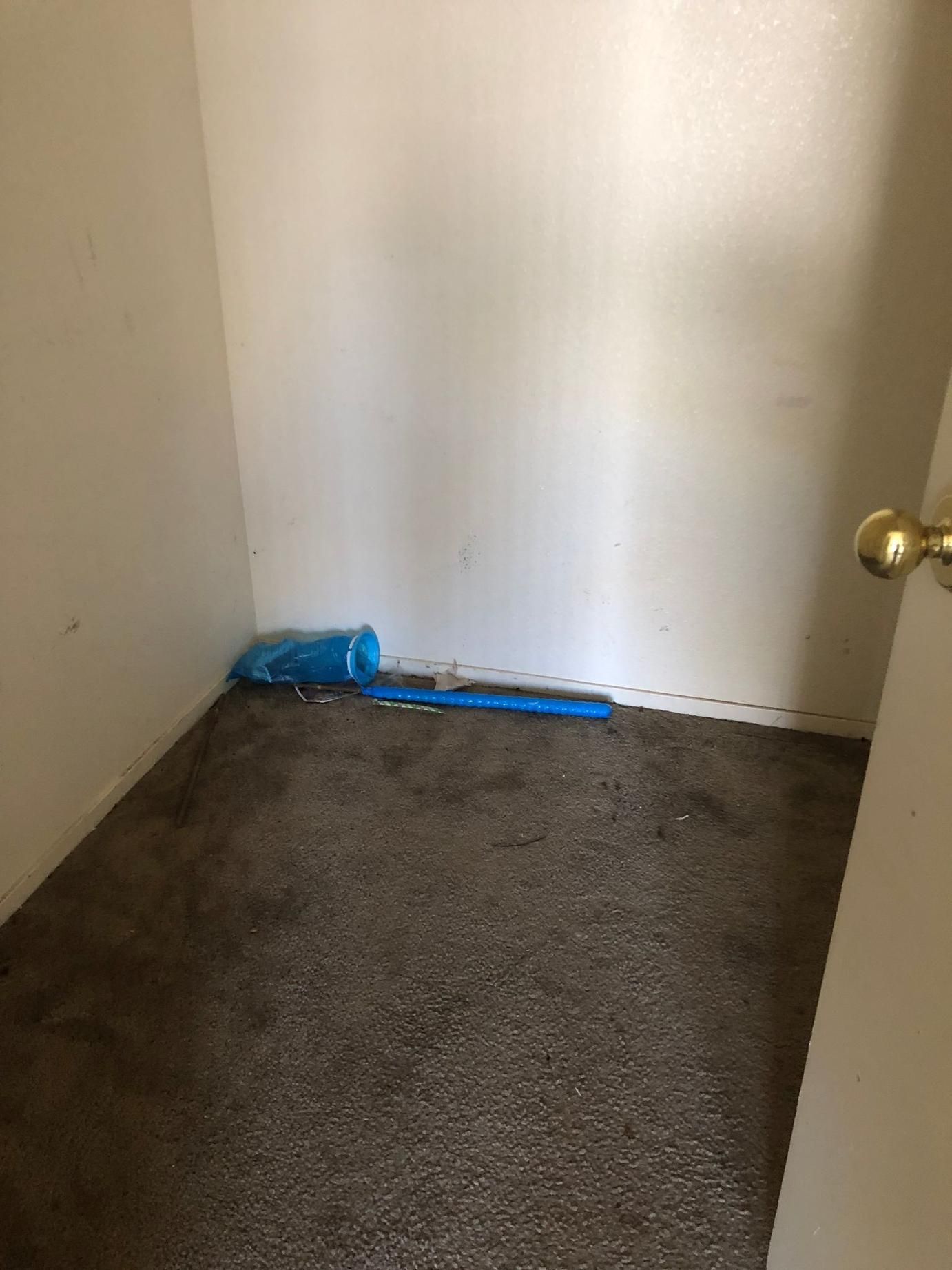 Empty closet corner with a blue mop and dustpan on the floor.