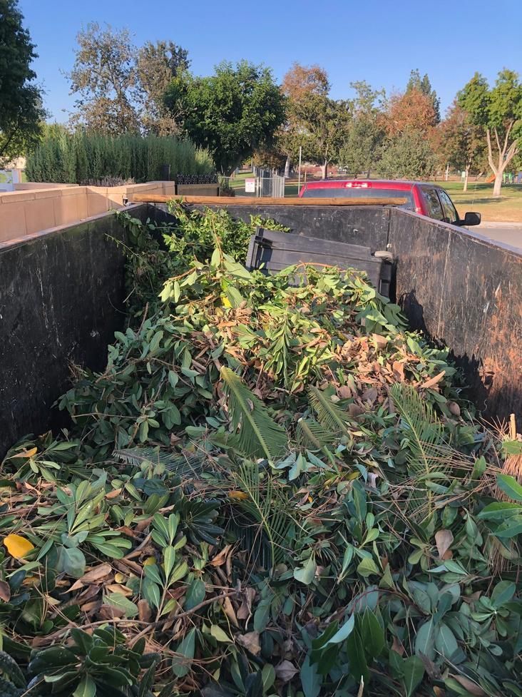 Truck bed filled with freshly cut tree branches and leaves outdoors in a sunny yard