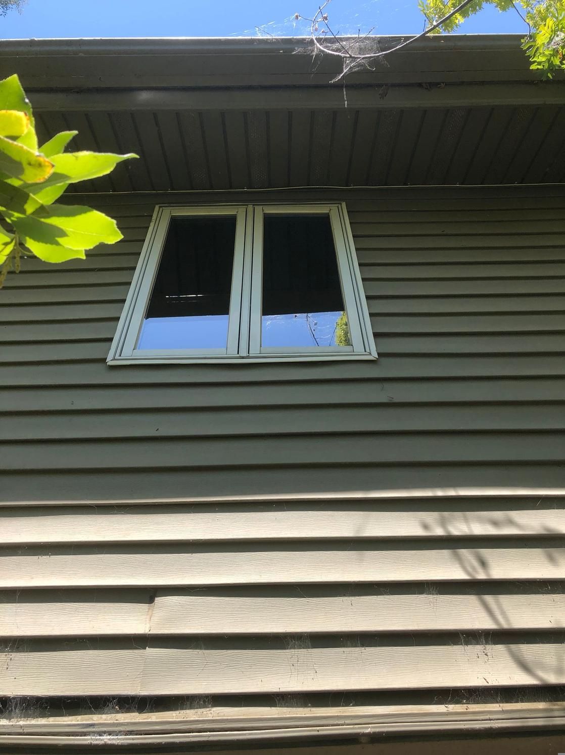 House exterior with beige siding, a white-framed window, and green leaves at the top left.