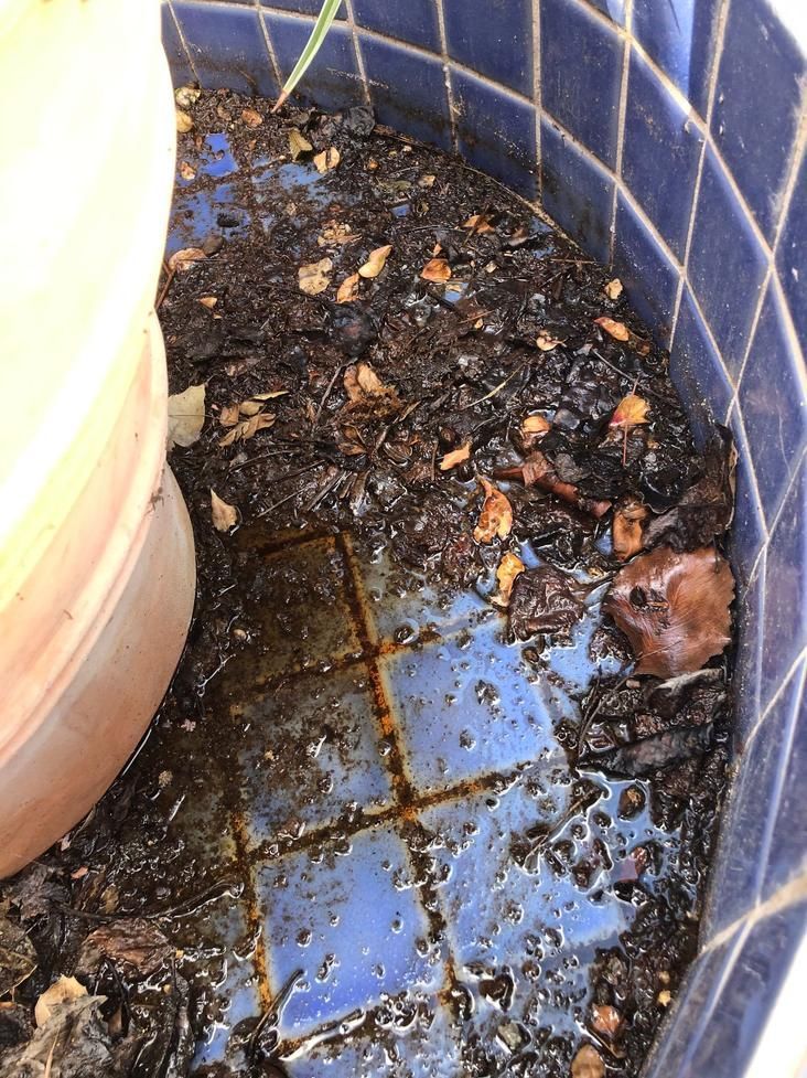 Dirty blue-tiled container with wet soil, debris, and a peach-colored bucket