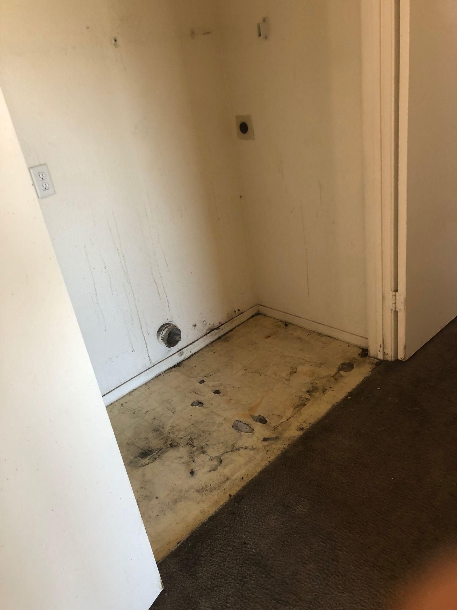 Empty closet corner with white walls, worn floor, and dark carpet outside the doorway