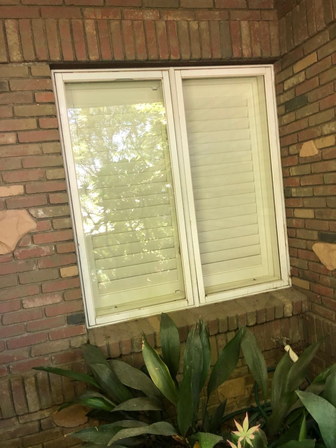Brick house window with white blinds above green plants