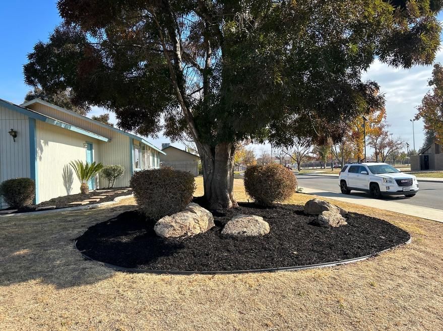 Landscaped yard with large tree, shrubs, and a white car parked beside a building.