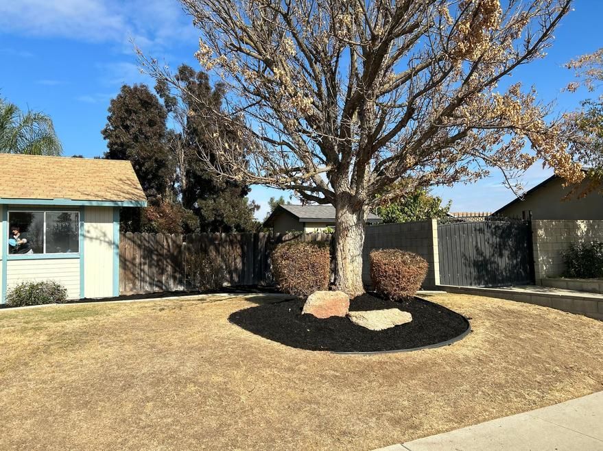 Front yard with a large tree, rock mulch, and tan houses under a clear blue sky.