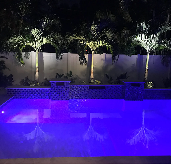 Nighttime pool with blue water reflecting illuminated palm trees and a tiled wall.