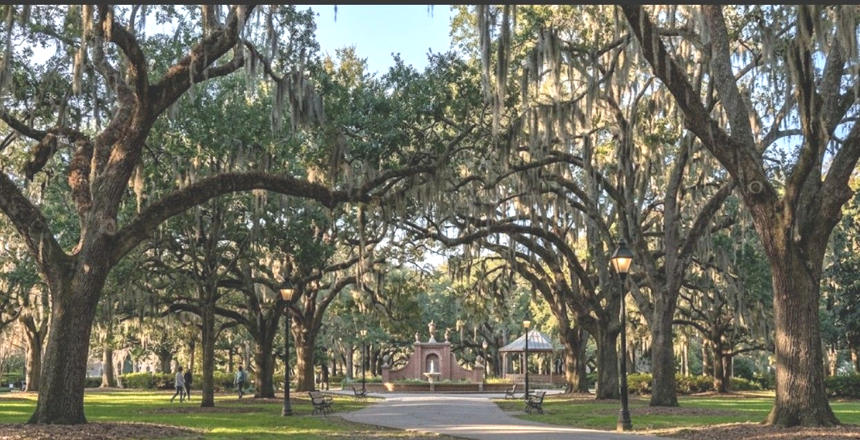 Tree Maintenance — Man Holding Tree Log in Savannah, GA Tree Maintenance — Man Holding Tree Log in Savannah, GA