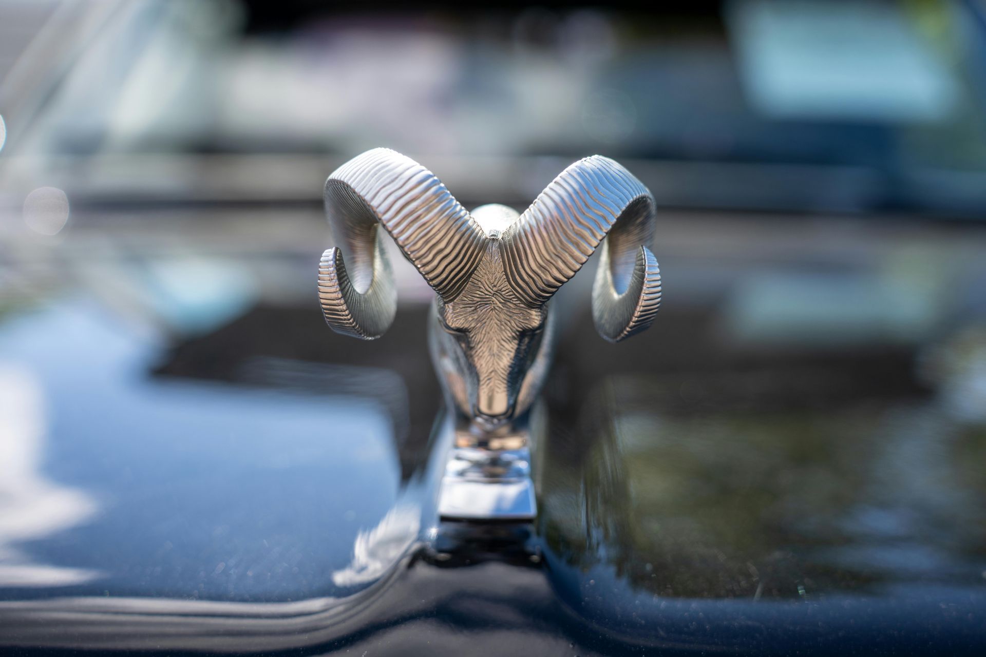 Close-up of a chrome Ram hood ornament on a black vehicle, with a blurred background.