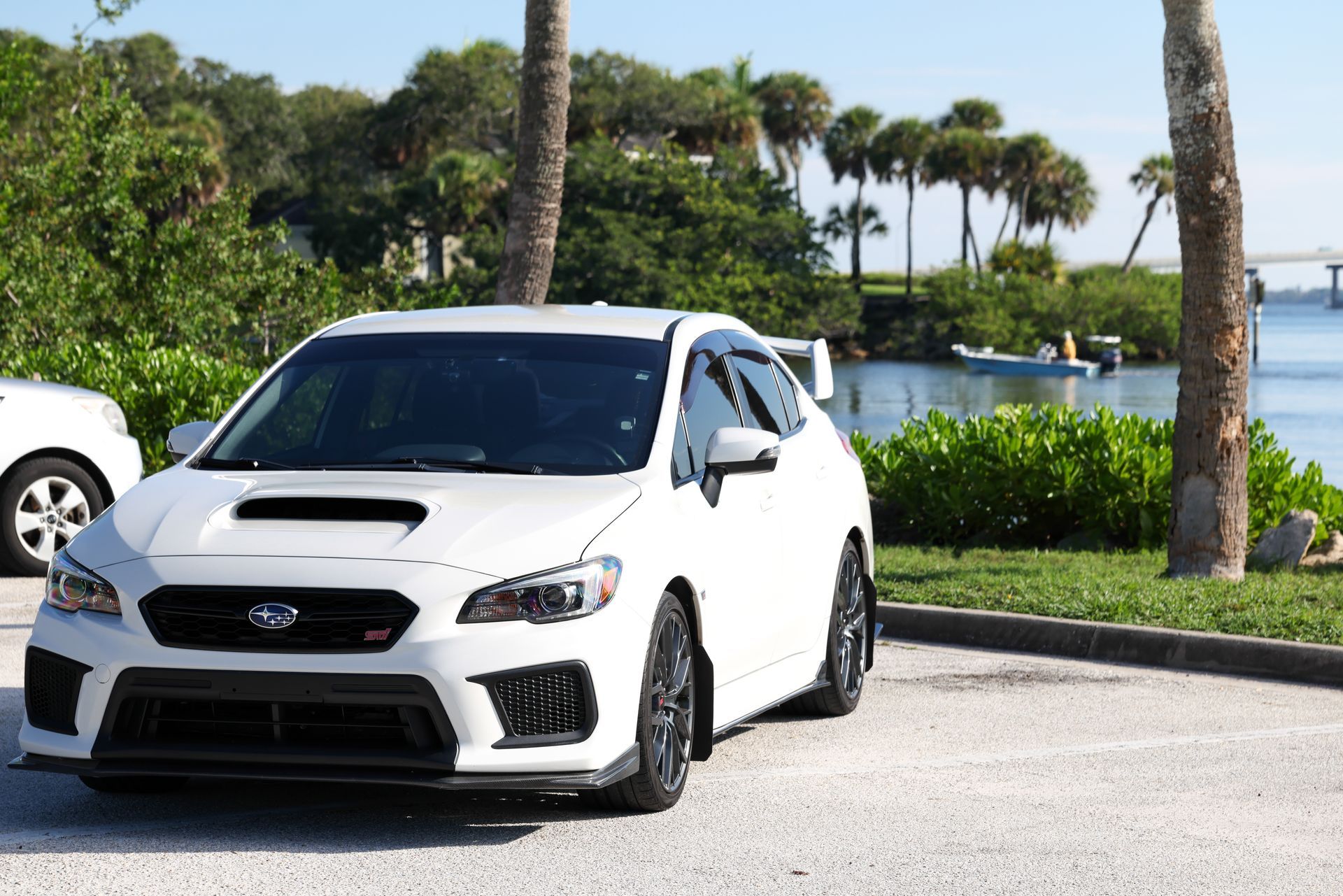 White Subaru sports sedan parked by a palm-lined waterfront road