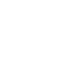 Icona - Professionalità
