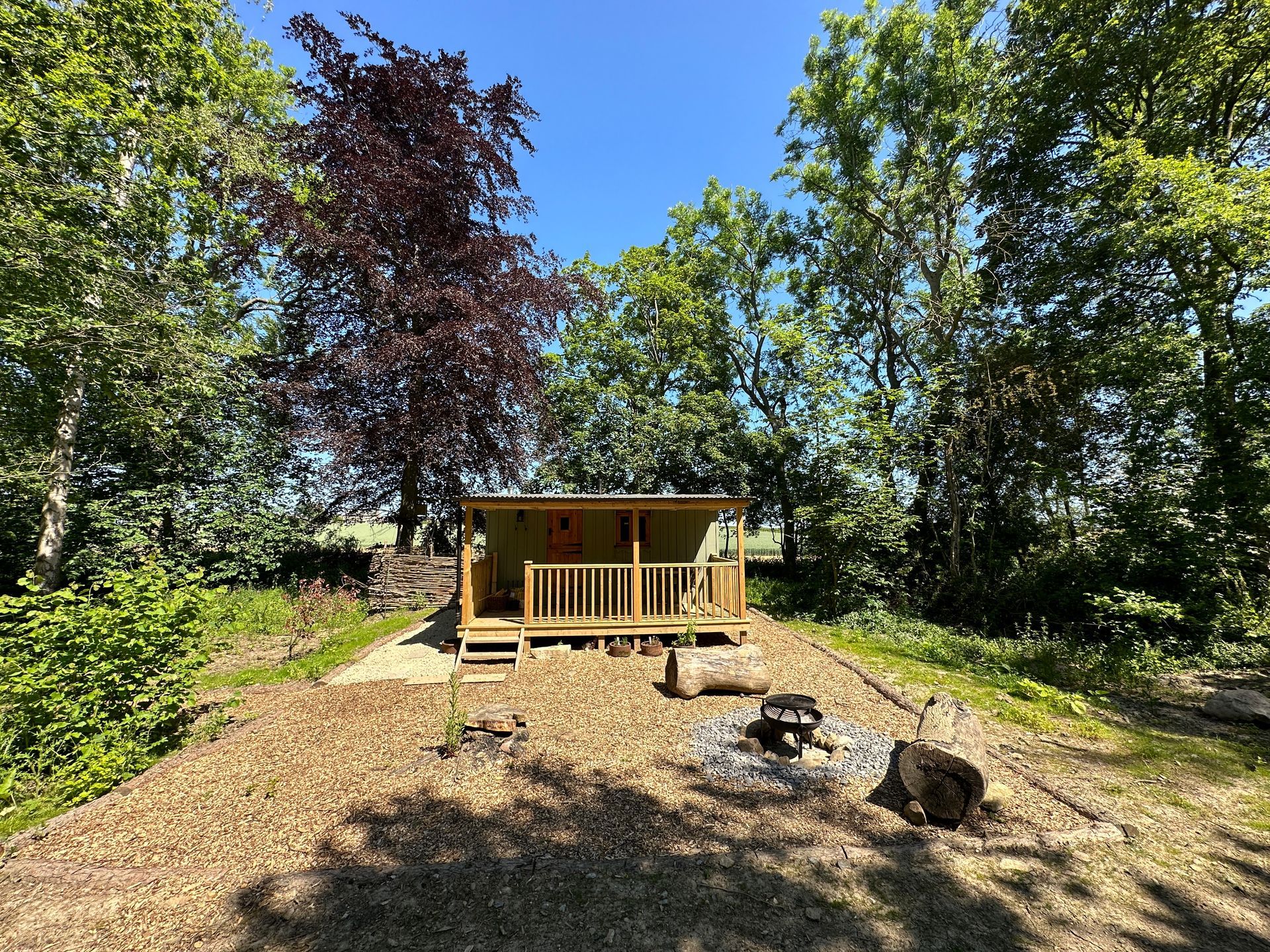 a small wooden house in the middle of a forest surrounded by trees .