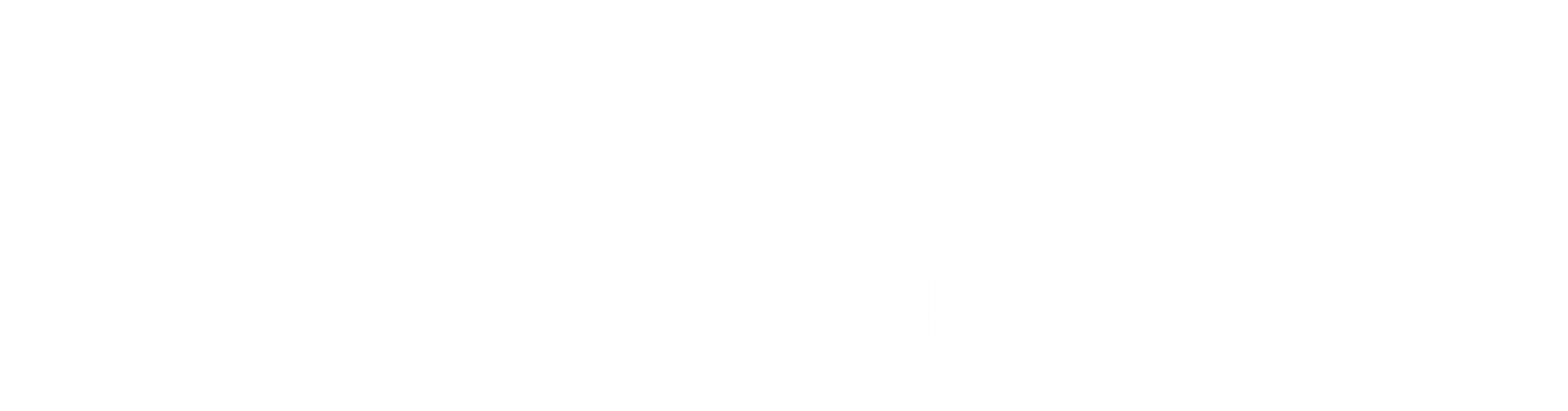 Pebbletech Pools Auckland NZ