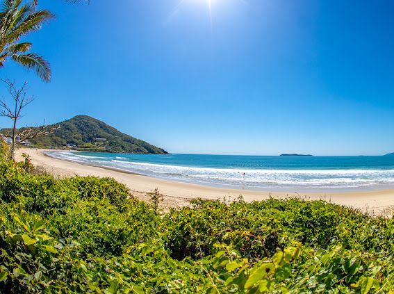 Praia tropical ensolarada, com ondas azul-turquesa, colinas verdes e céu azul límpido