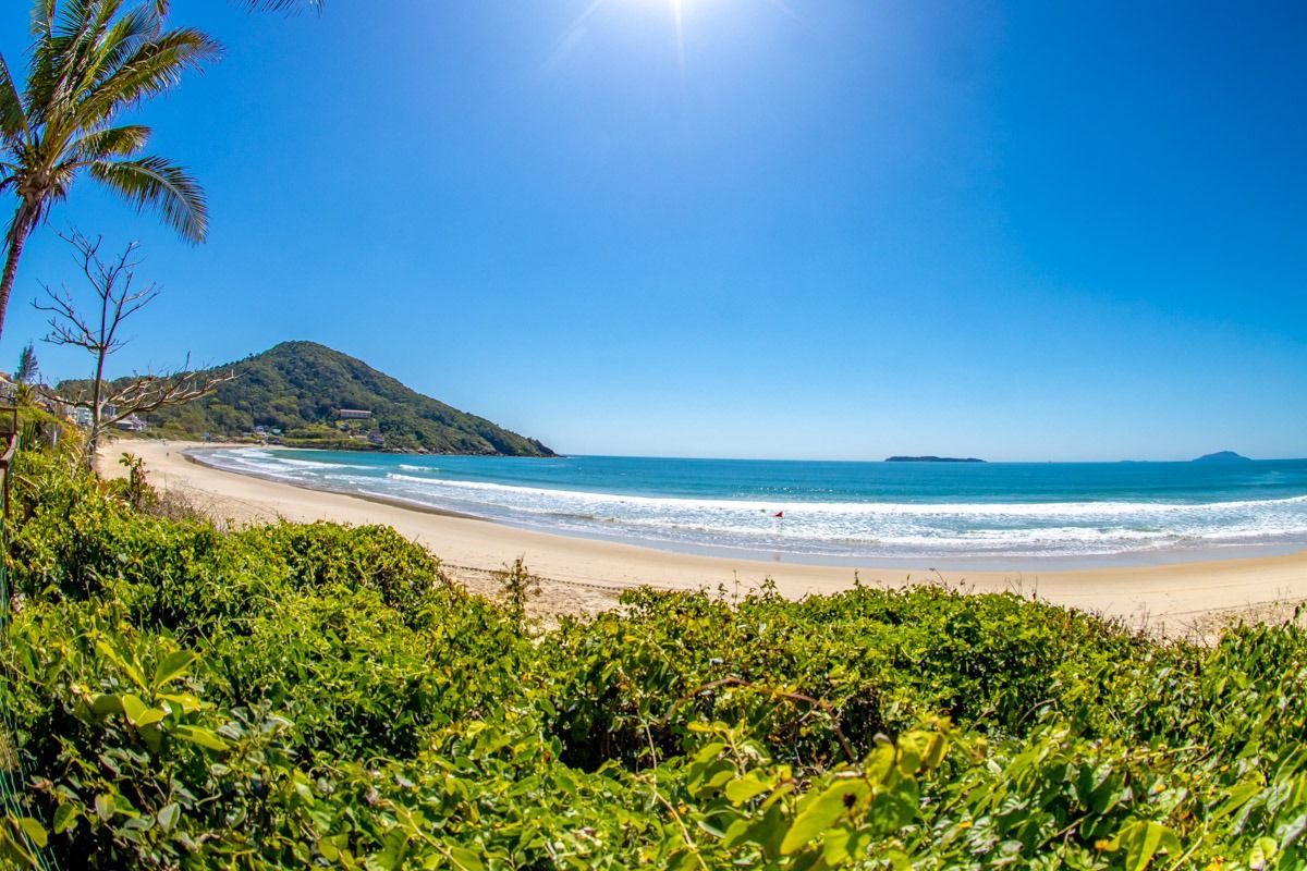 Praia tropical ensolarada, com oceano azul, vegetação verde, palmeira e colinas ao longe sob um céu limpo