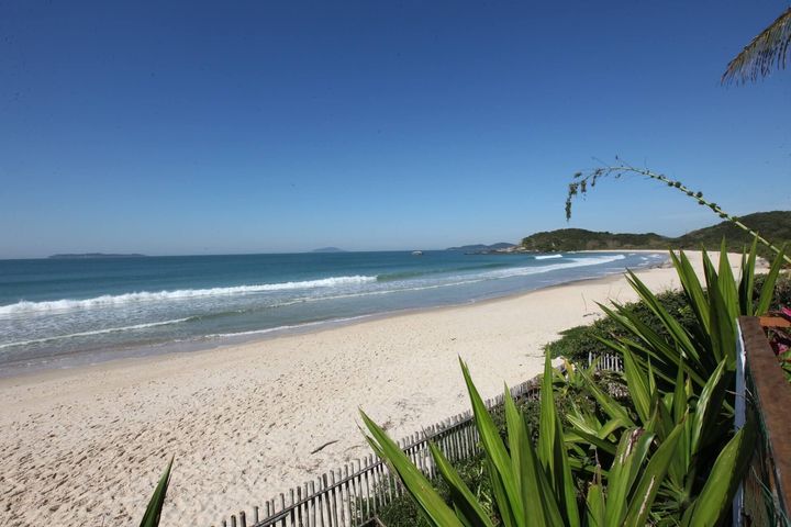 Praia ensolarada com mar azul, areia branca e plantas verdes em primeiro plano