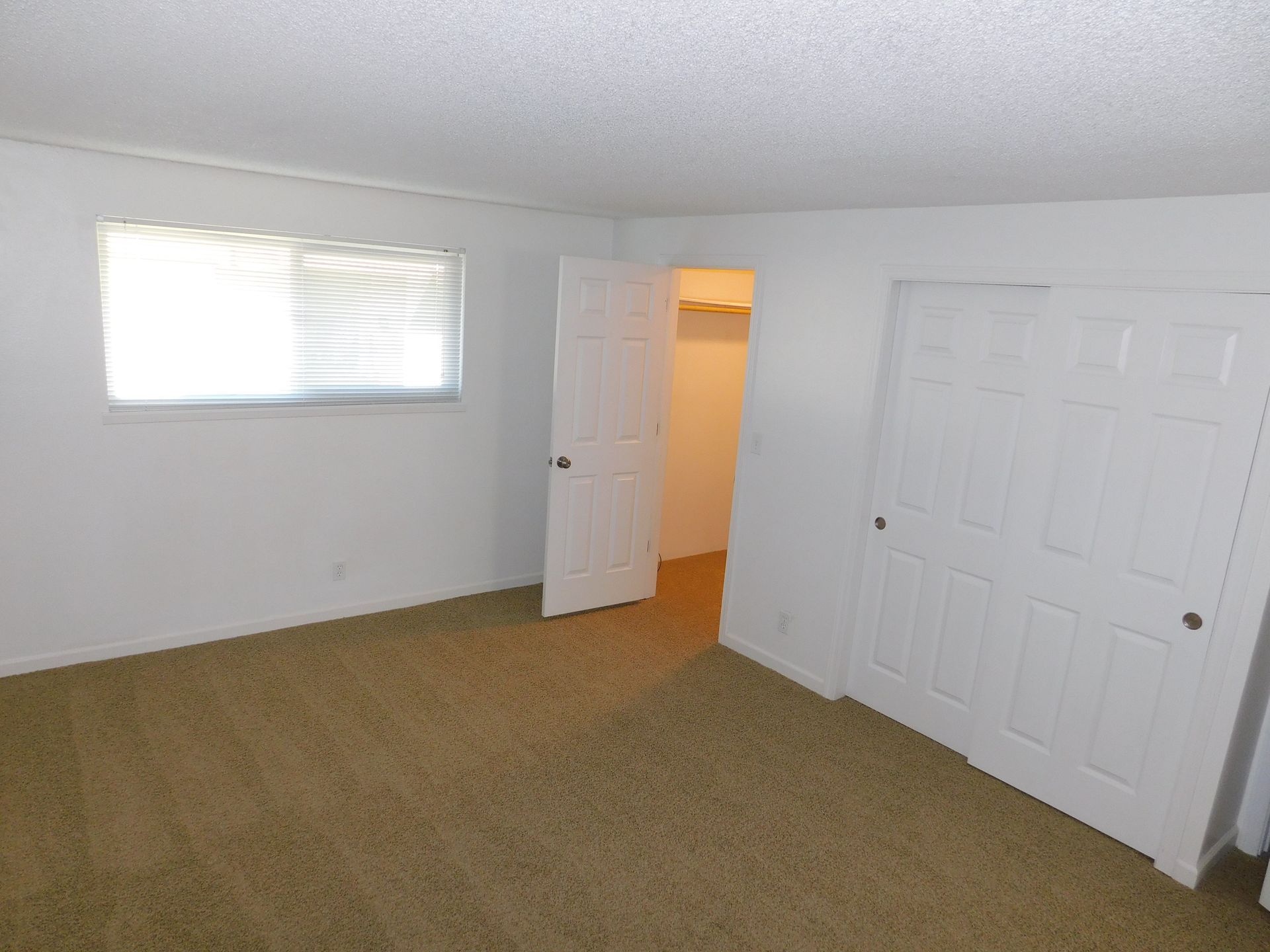 Empty bedroom with carpet, window, open door to closet, and a closed closet door.