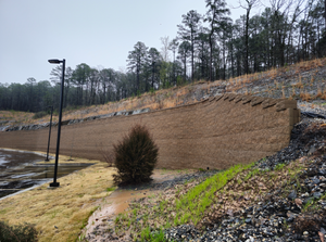 Terraced dirt slope with pine trees, a lamppost, and a small bush in a landscaped outdoor area