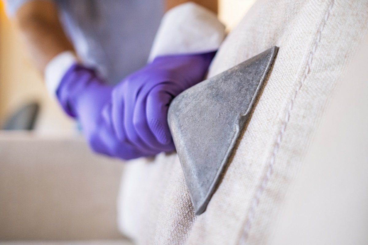 Hand with vacuum cleaning the carpet | Abbeville, SC | Dawkins Carpet, Upholstery, & Air Duct Cleaning LLC Hand with vacuum cleaning the carpet | Abbeville, SC | Dawkins Carpet, Upholstery, & Air Duct Cleaning LLC