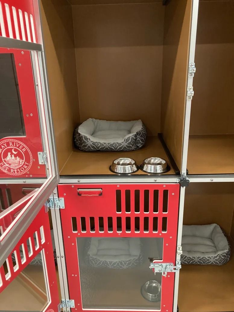 Bluffton Dog Boarding & Day Camp May River Pet Resort