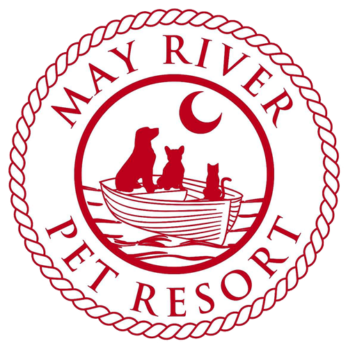 Dog Boarding & Dog Grooming in Bluffton, SC May River Pet Resort