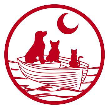 May River Pet Resort