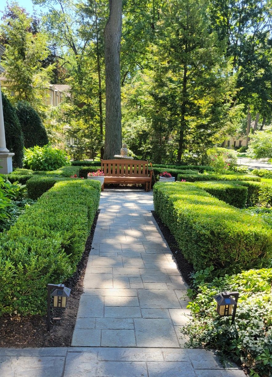There is a bench in the middle of the path in the garden.