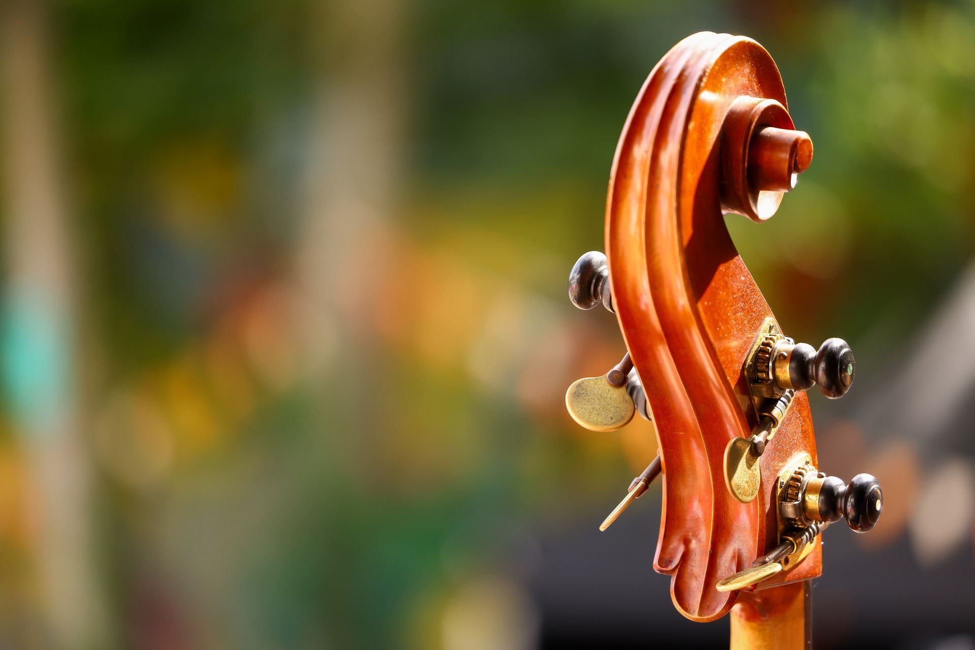 Kamel Instrument