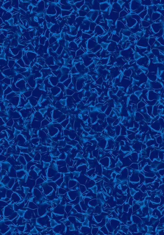 Indigo Reef