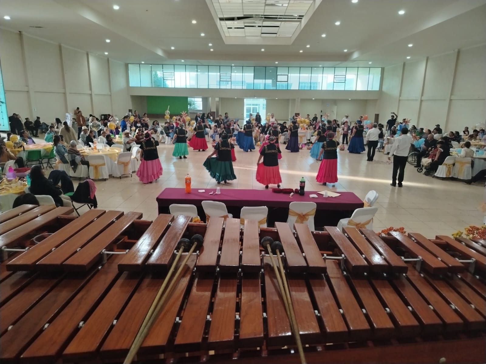 MARIMBA LOGAN