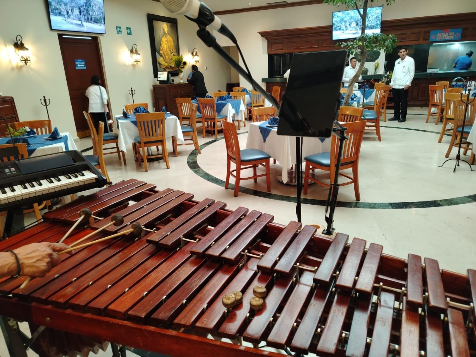 MARIMBA LOGAN
