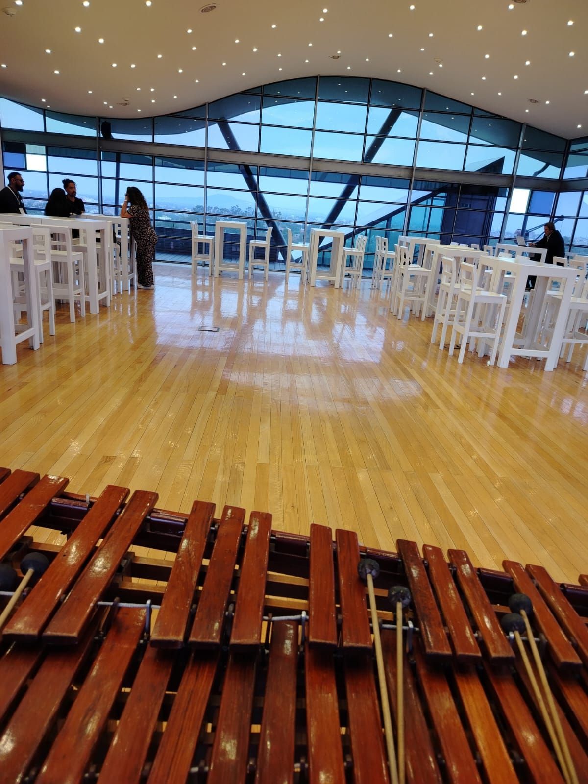 MARIMBA LOGAN