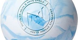 NASA/NCCS logo on a blue-and-white sphere, with a stylized spacecraft in the center.