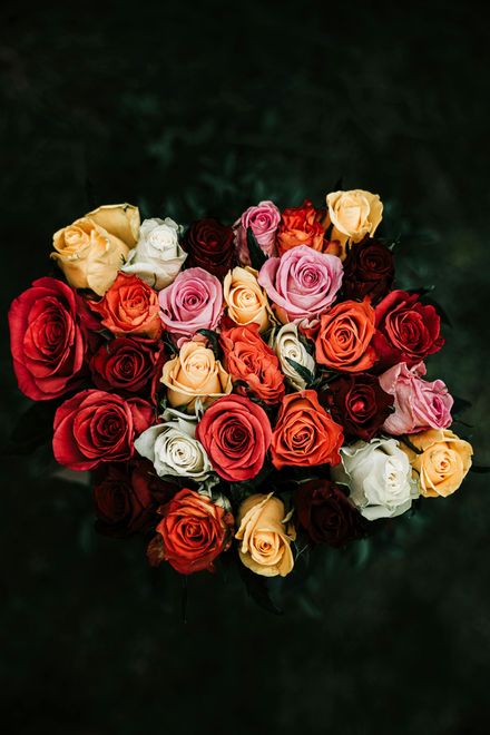Assorted roses in red, pink, yellow, and white arranged against a dark background