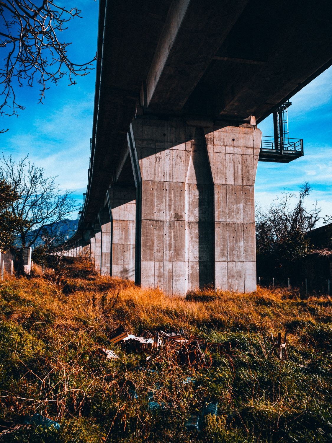 Paliers de pont