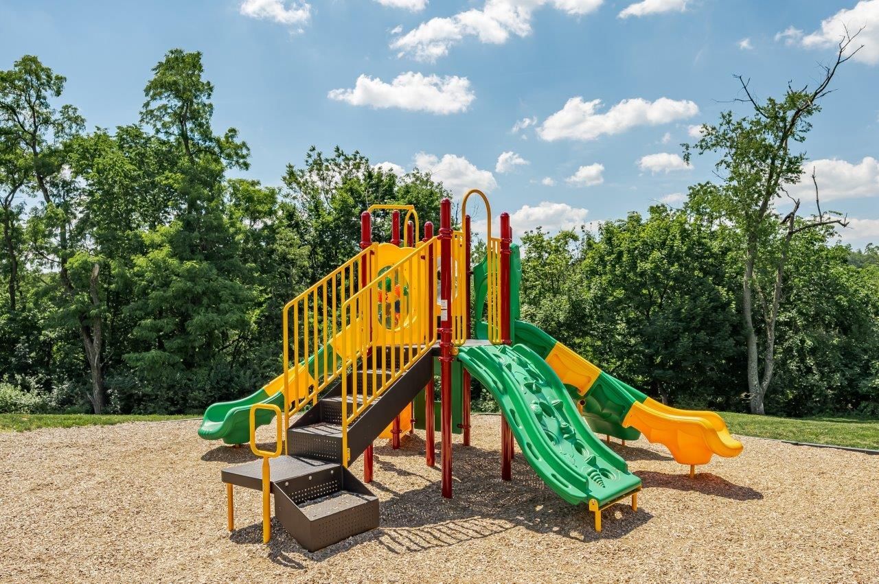 Colorful playground slides and stairs on a woodchip surface, surrounded by trees under a blue sky