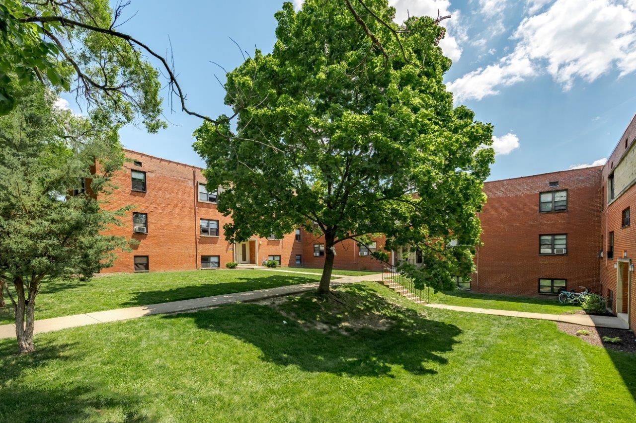 Courtyard between red brick apartment buildings with a large green tree and grassy lawn under a blue sky