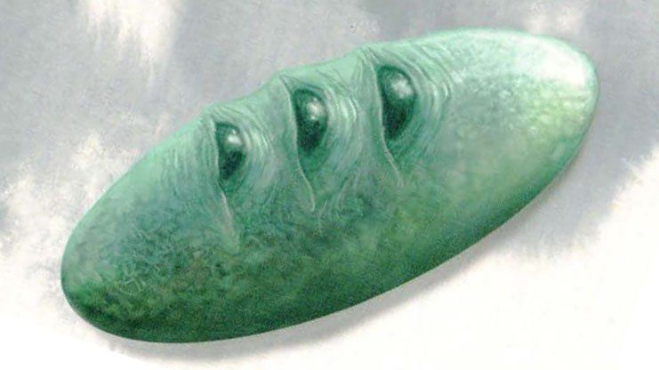 Green, oblong stone with three circular indentations, against a cloudy background.