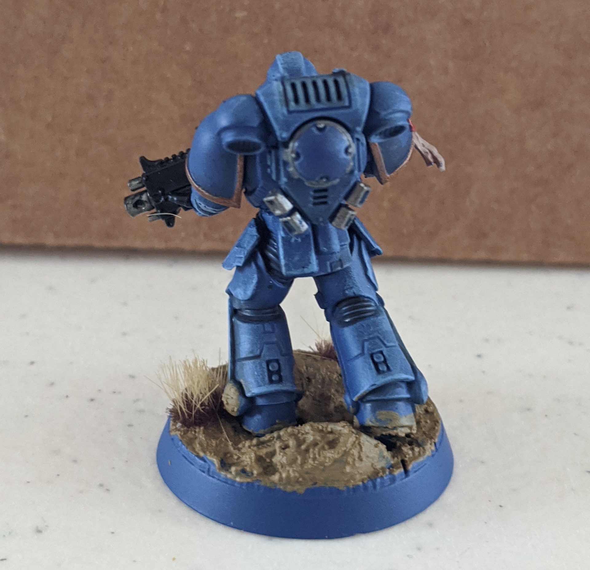 Back view of a blue Warhammer 40,000 Space Marine miniature on a textured base.
