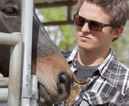 Equine Therapy