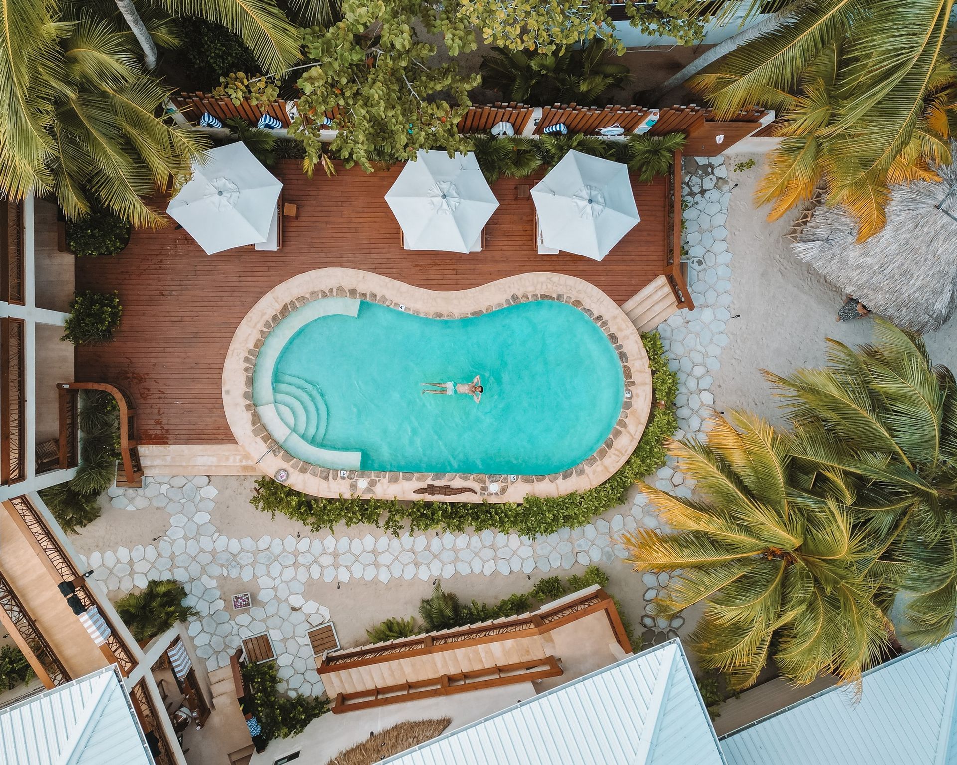 Overhead view of a turquoise resort pool with lounge chairs, palms, and a swimmer